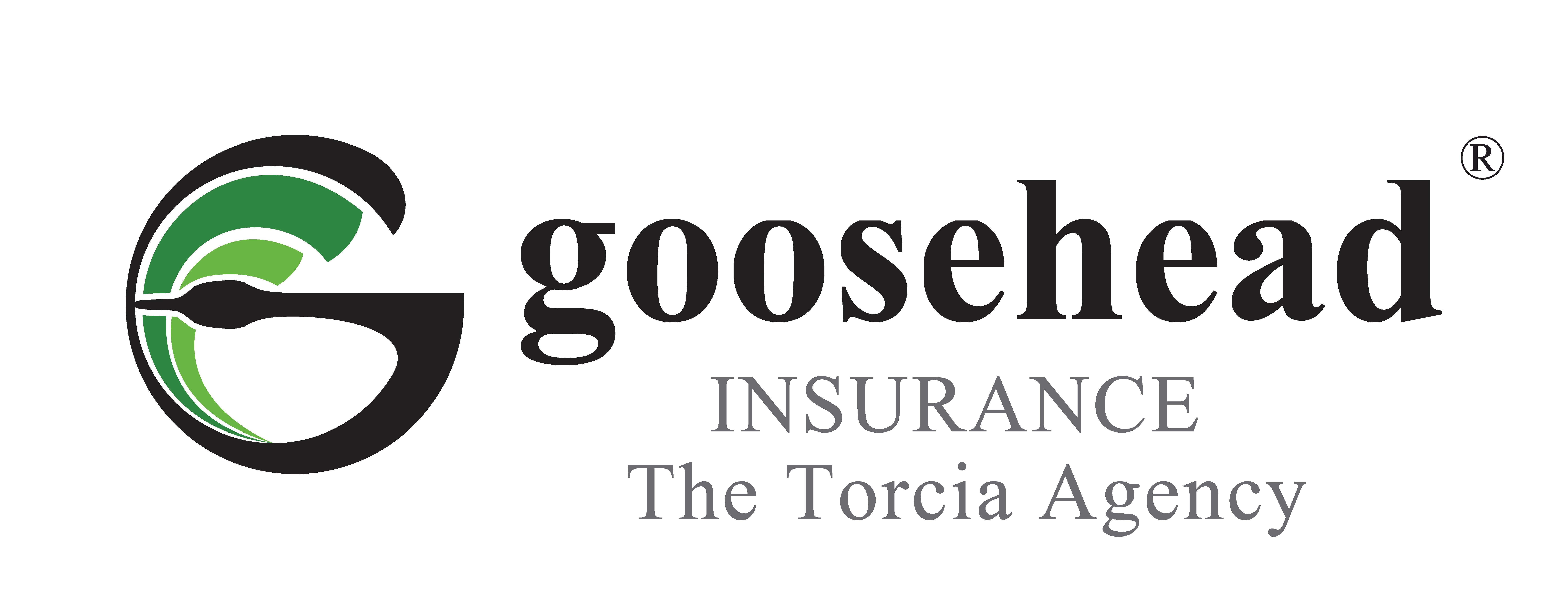 Goosehead Insurance logo